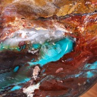  Blue Opalized Petrified Wood, 3298 g