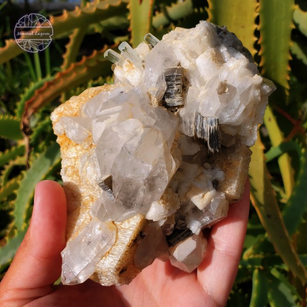Aquamarine, Quartz, Mica, and Schorl Tourmaline on Feldspar, 470g