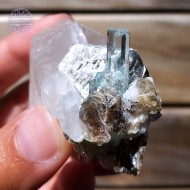 Aquamarine Cluster Silver Mica and Schorl Tourmaline on Quartz, 82g