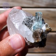 Aquamarine Cluster Silver Mica and Schorl Tourmaline on Quartz, 82g