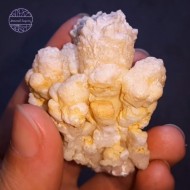 Cave (Coral) Calcite, 55g