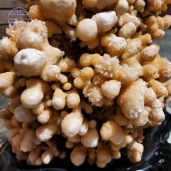Cave (Coral) Calcite, 3151g Cave (Coral) Calcite, 3151g