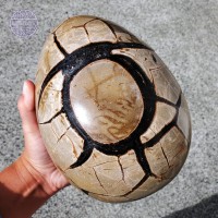 Large Black Velvet Septarian Egg, 4913g