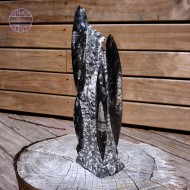 Orthoceras Tower, 1441g