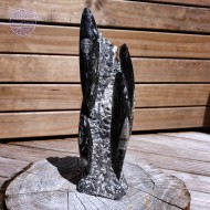 Orthoceras Tower, 1441g