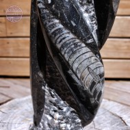 Orthoceras Tower, 1441g