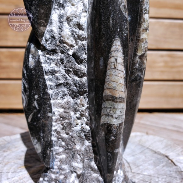 Orthoceras Tower, 1441g