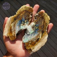  Blue Opalized Petrified Wood Slab, 163g pair