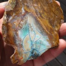  Blue Opalized Petrified Wood Slab, 119g
