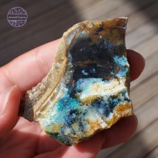 Blue Opalized Petrified Wood Slab, 49g