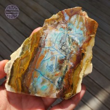  Blue Opalized Petrified Wood Slab, 149g