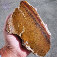 Sagenite Agate, 462g