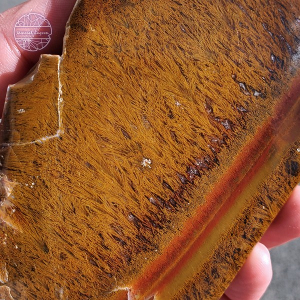 Sagenite Agate, 204g