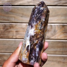 Petrified Wood in Chalcedony, 317g, 124mm