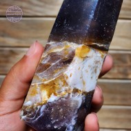 Petrified Wood in Chalcedony, 356g, 121mm