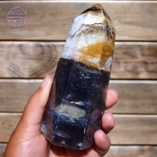 Petrified Wood in Chalcedony, 530g, 130mm